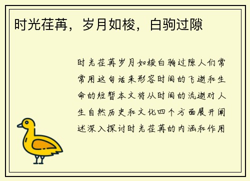 时光荏苒，岁月如梭，白驹过隙